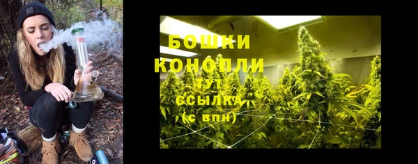мескалин Гусев