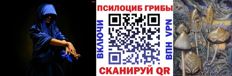 Псилоцибиновые грибы GOLDEN TEACHER  купить   Подольск 
